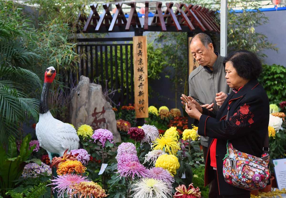 风俗重阳节有哪些活动_重阳节有什么风俗_重阳节风俗是