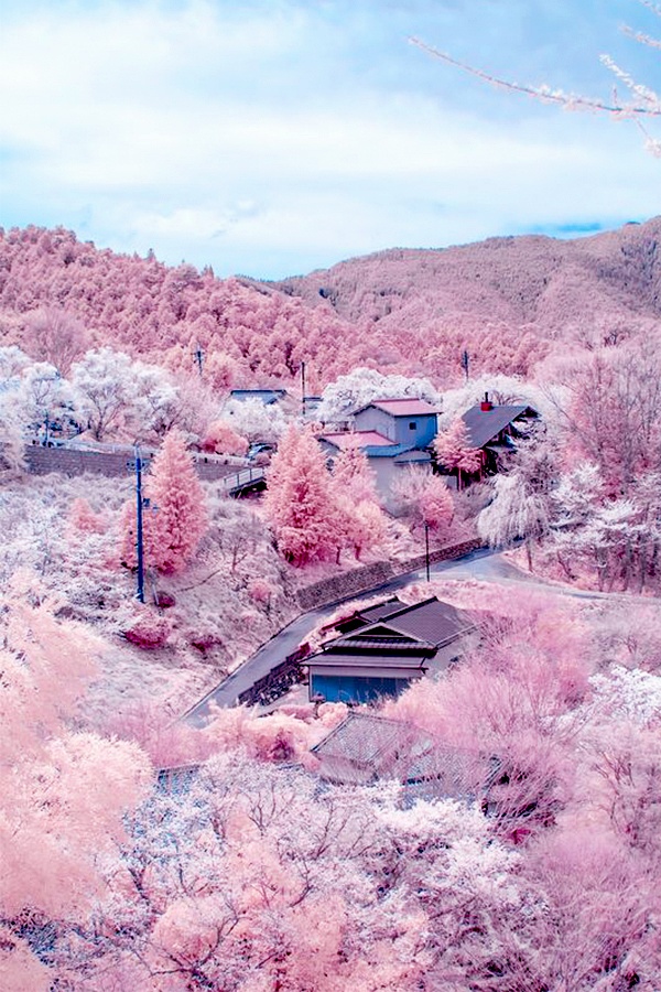 北海道的岛_日本北海道岛简介_北海道岛