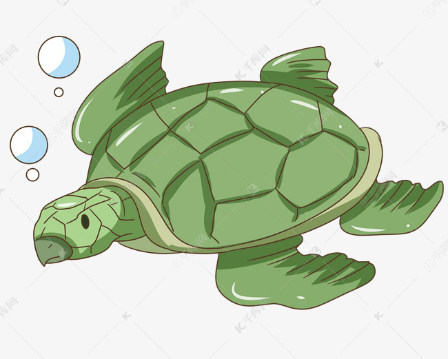 turtle库官网_turtle库stamp_turtle库代码大全