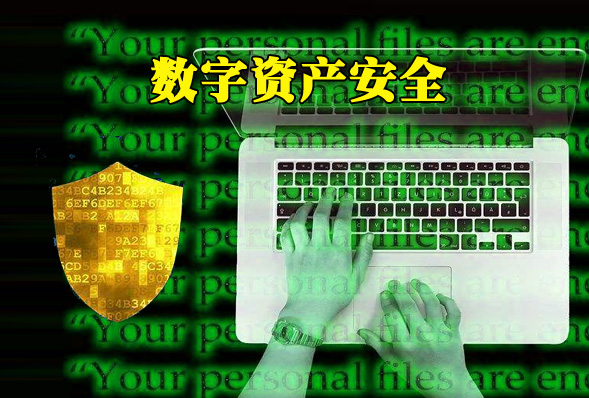 im钱包和tp钱包哪个安全_钱包安全锁在哪里_钱包安全吗