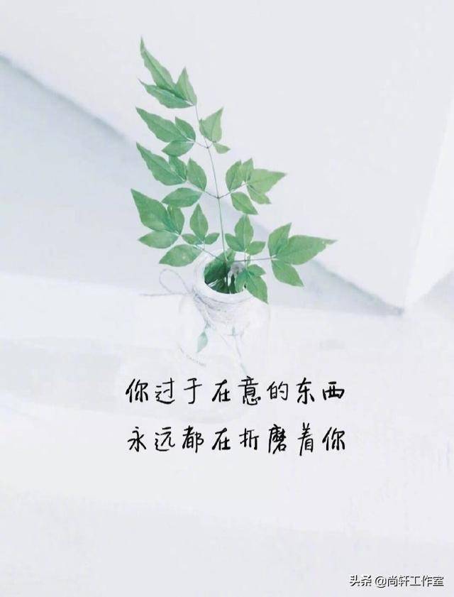 灵魂碎片组合_灵魂碎片_灵魂碎片是什么