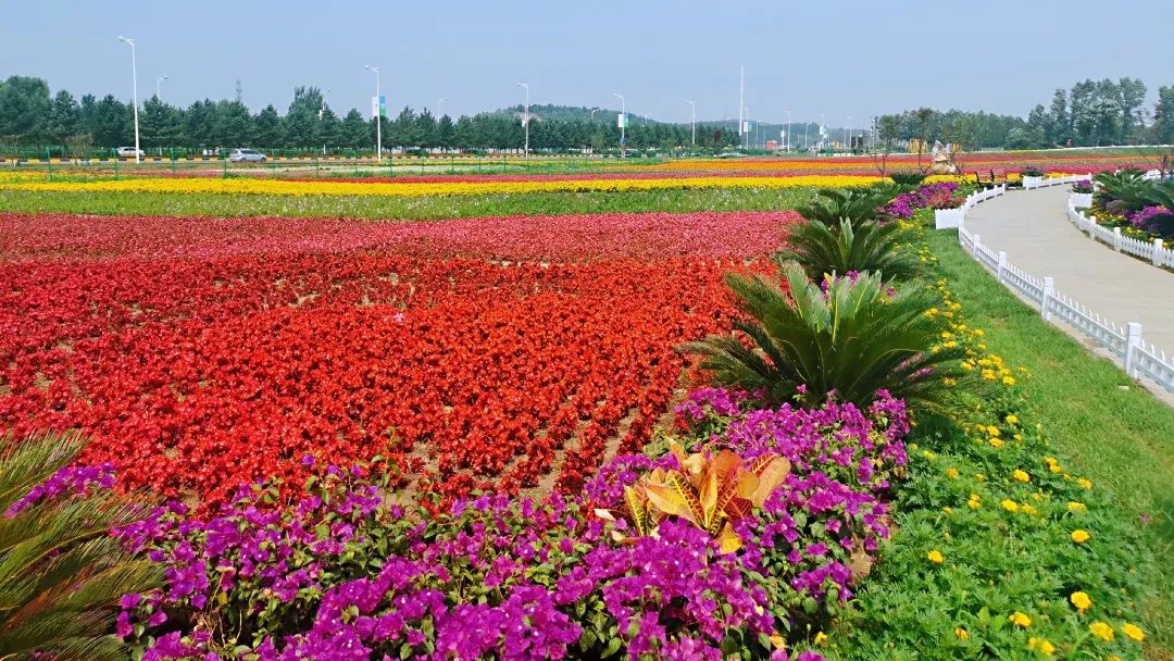 花田十辉_花田阿花放学_花田错