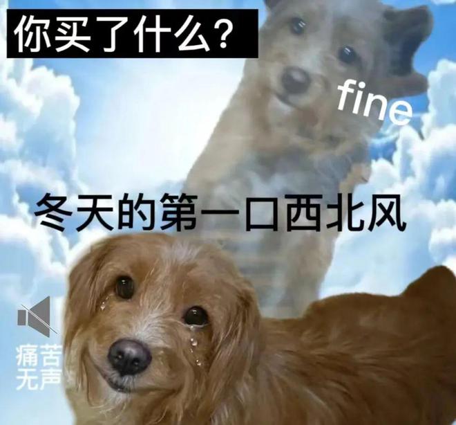 dogecoin狗狗币钱包_tp钱包狗狗币地址_狗狗币钱包地址绑定