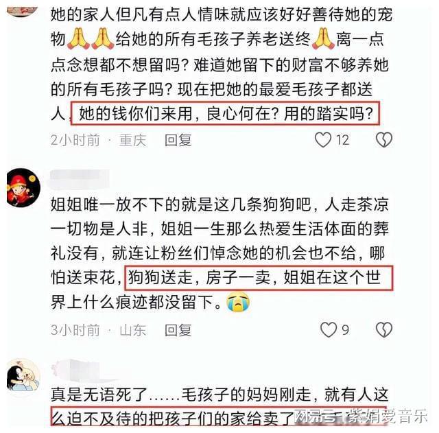 tp钱包狗狗币地址_dogecoin狗狗币钱包_狗狗币钱包地址绑定