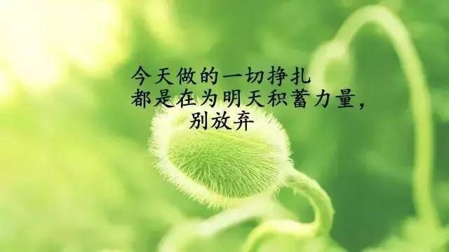 里无的成语四字成语_什么里无什么成语_无里的意思