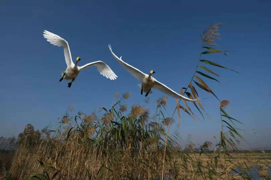 节日是指_节月是什么意思_11月16日是什么节日