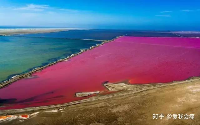 新海城小区租房_遥远的世界新海城_新海城