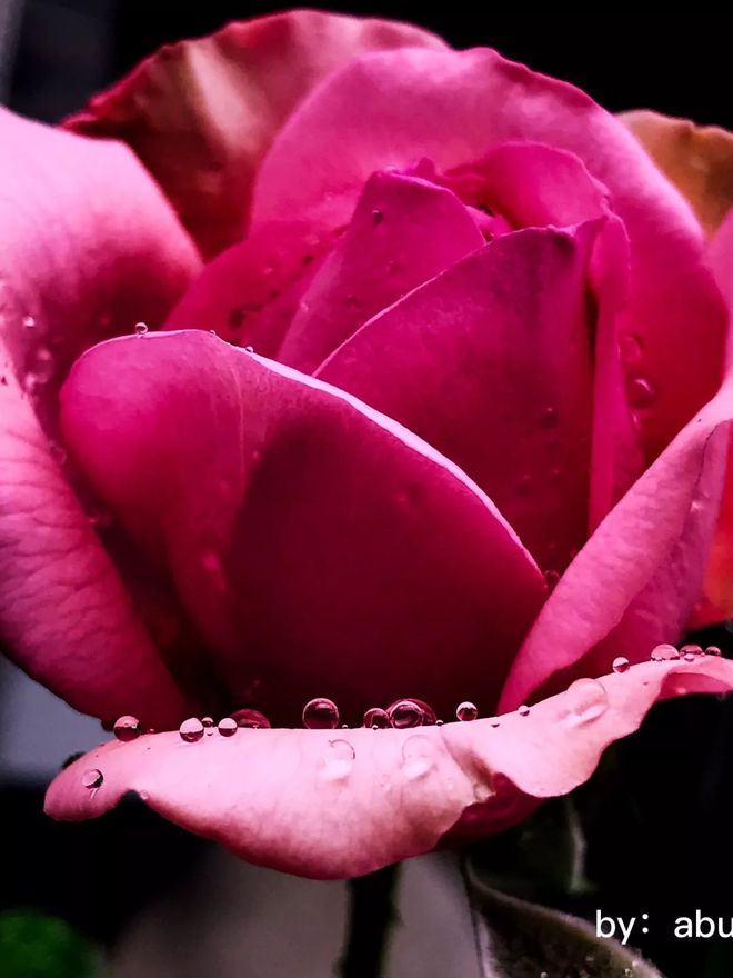 梅雨季节是什么时间_梅雨季节是什么时节_季节梅雨时间是几月几日