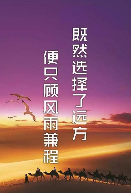 近藤源_近藤源_近藤源