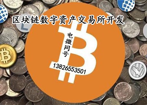 pc钱包_币钱包怎么用_tp钱包电脑版怎么没有币安链