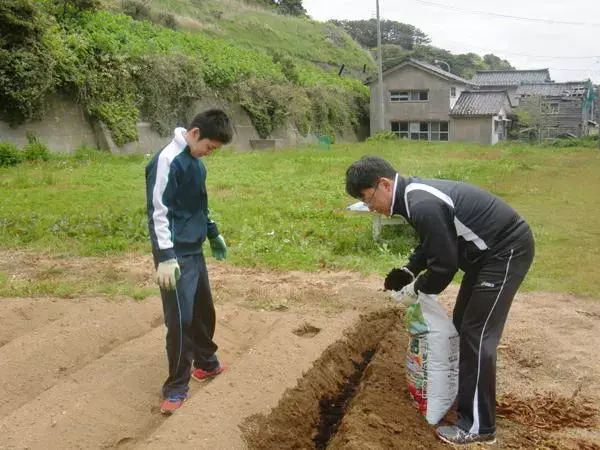 佐藤正男_佐藤正男的图片_佐藤正男怎么画