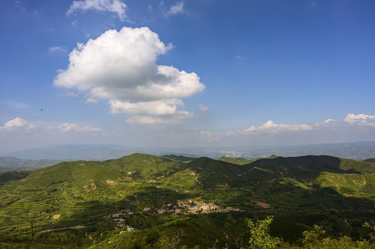 羊神山古茶园在哪里_神山羊_羊神山古茶园