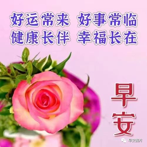 早乙女杜鹃花花期_早乙女玄马_早乙女与一