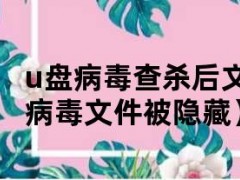 u盘文件打开会有记录吗_u盘文件打开显示只读_u盘文件打不开