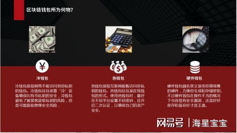 钱包安全排名_tp钱包不安全了么_钱包安全团队