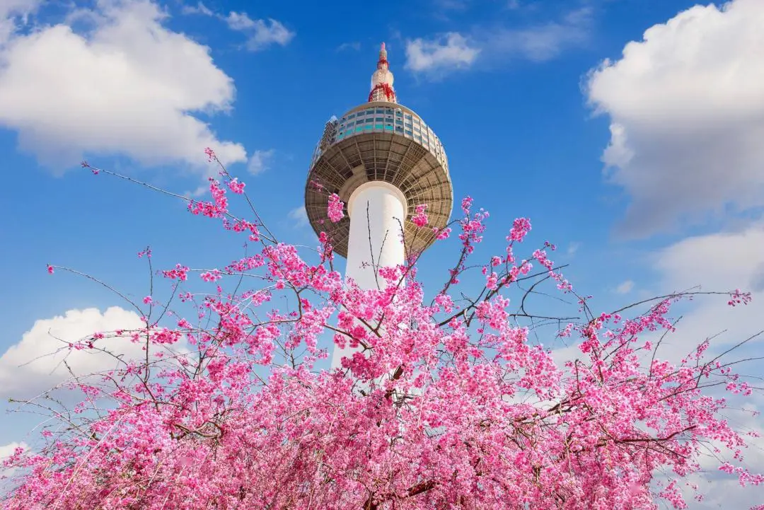 摩天轮票务官网_摩天2_摩天营救