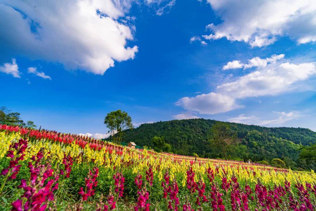 夏季风景图片大全大自然_夏季风景图片大全简笔画_夏季图片风景