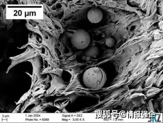 钱包转账地址在哪_im钱包怎么转账_钱包转账提示验证签名错误