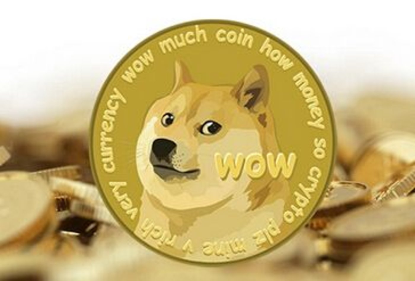 tp钱包 狗狗币_钱包狗狗币_狗狗币钱包dogecoin