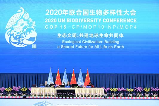 世界华商大会官网_世界华商大会2021_世界华商大会