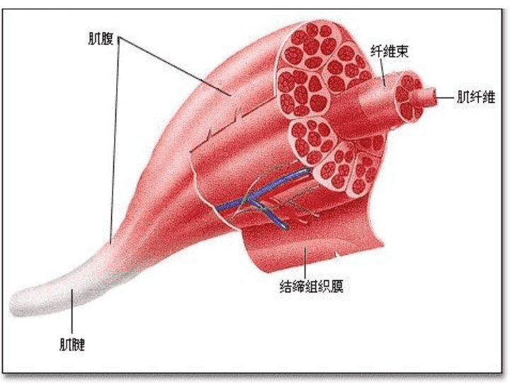 刷题库是什么意思_刷题库有用吗_哪里可以刷人卫题库