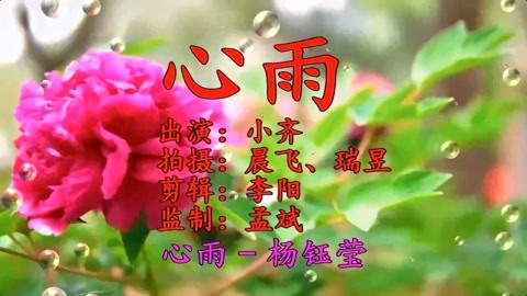 韦彤_韦彤_韦彤