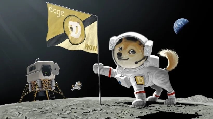 tp钱包 doge_钱包怎么折_钱包英语