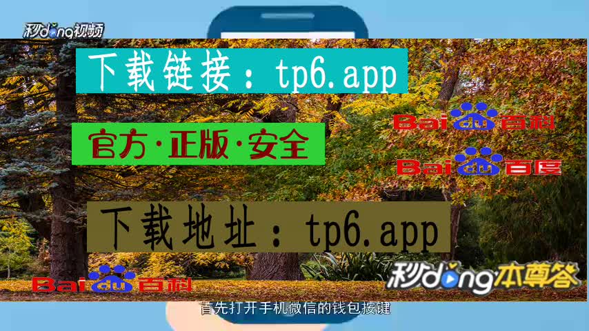 tp钱包怎么绑定手机号_钱包怎么更换手机号_手机钱包绑定卡后怎么使用