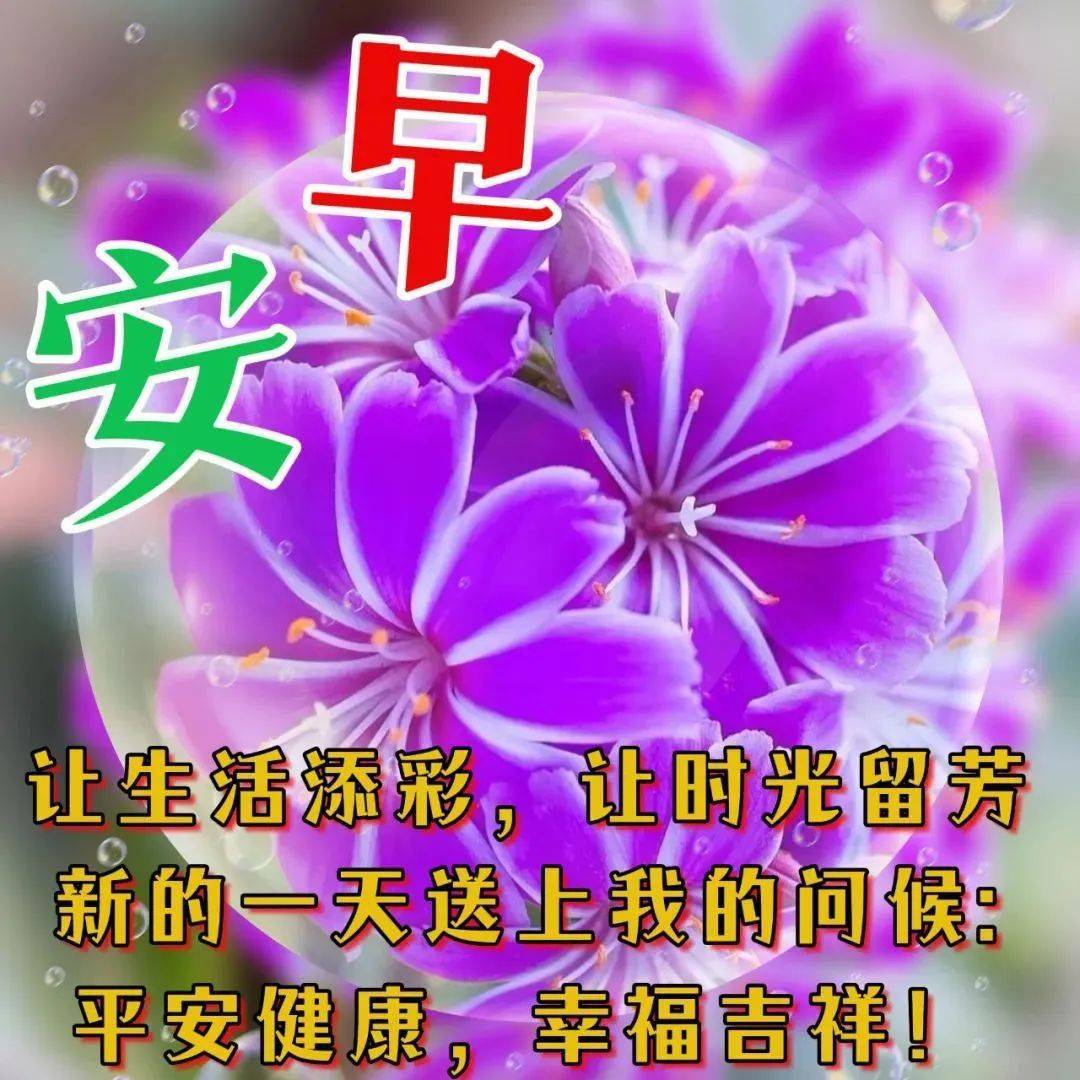 卡莉_卡莉克劳斯_卡莉蕾吉普森