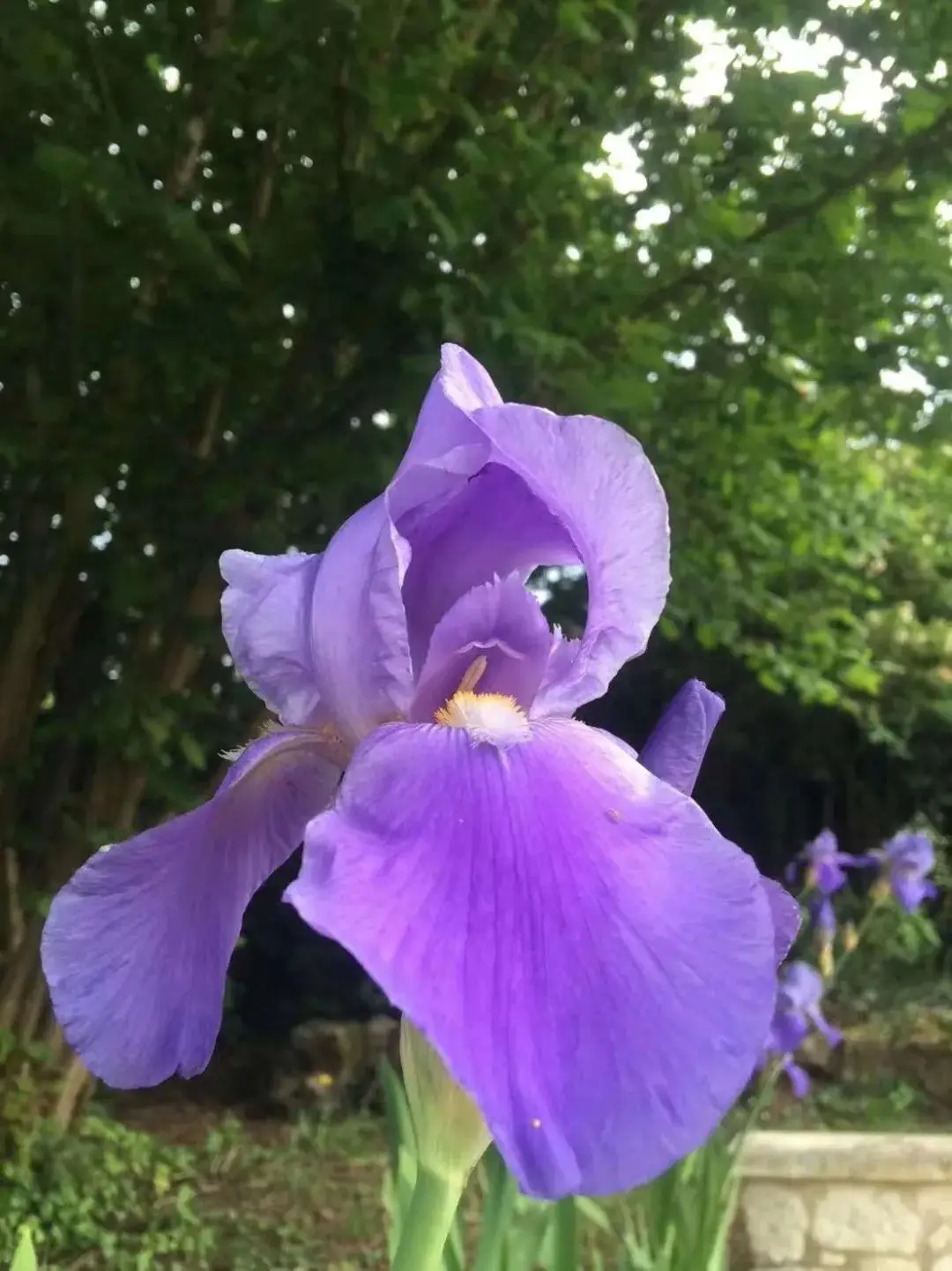 芭芘公主土换装_芭芘娃娃_芭芘馒头