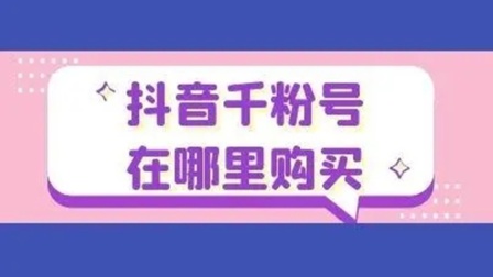 公众号5000粉丝月收入_粉丝20w公众号收入_1500粉丝公众号