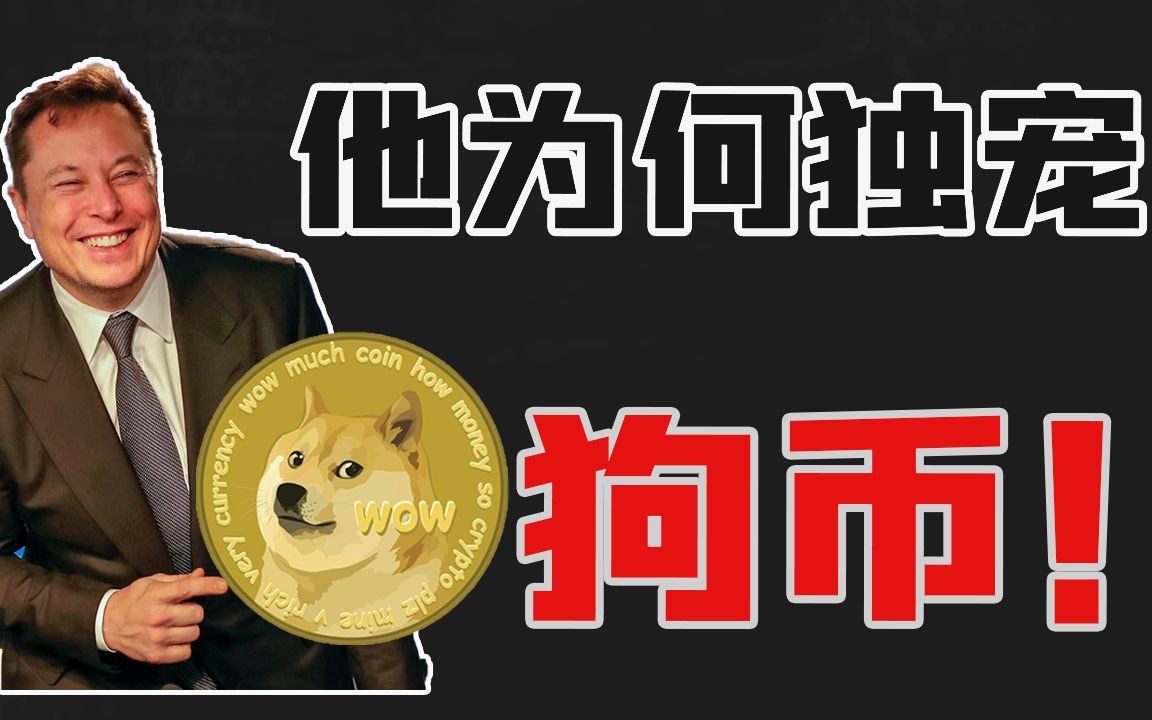 狗狗币钱包dogecoin_存狗狗币的钱包_狗狗币怎么存入tp钱包