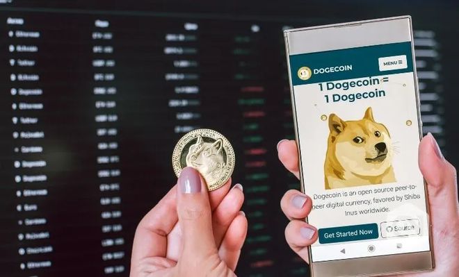 存狗狗币的钱包_狗狗币怎么存入tp钱包_狗狗币钱包dogecoin