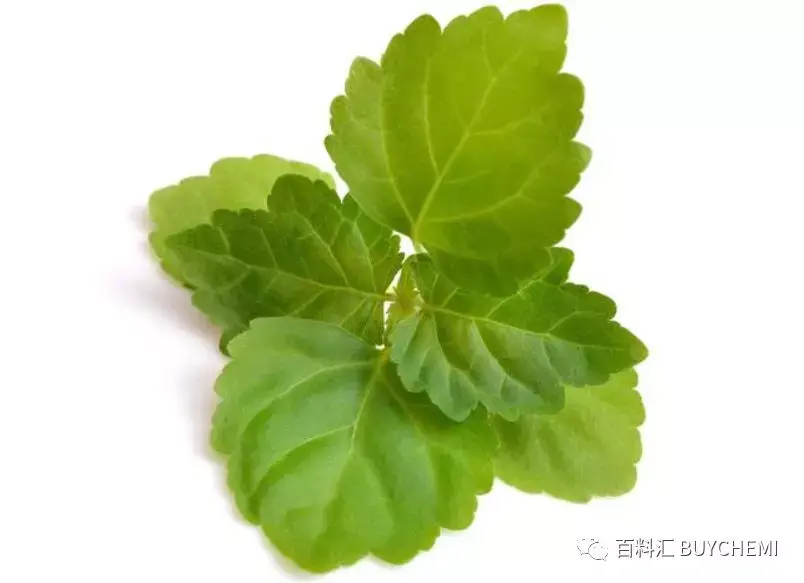 操作系统真象还原_操作还原真象系统的方法_操作还原真象系统的软件