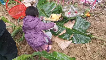 的风俗清明节_清明节的来历和风俗_风俗来历清明节的由来