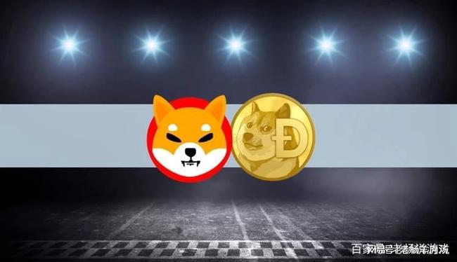 dogecoin狗狗币钱包_tp钱包 狗狗币网络_狗狗币钱包使用教程