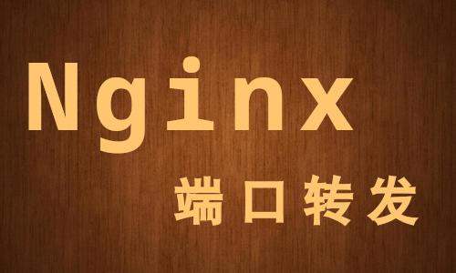 nginx反向代理设置_反向代理设置去掉目录_反向代理设置了公网ip