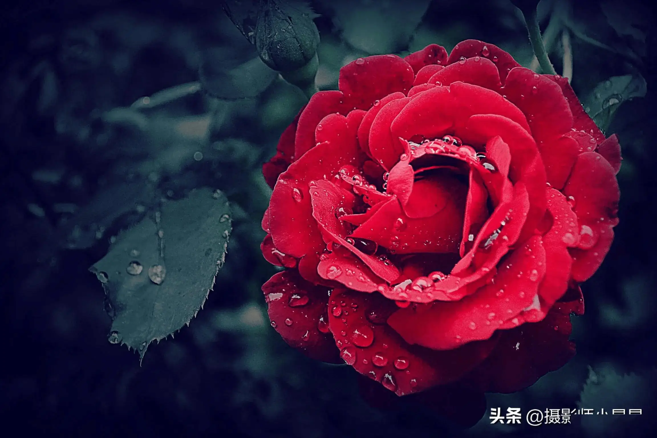 时雨名字_时雨_时雨节选