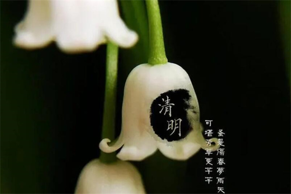 清明节是固定日期_清明节的月份_清明节是固定4月5日吗