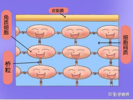 谷歌网页地址_谷歌网页版_谷歌网页