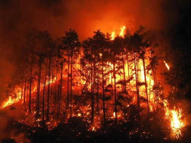 饥荒避雷针范围_饥荒避雷针范围多少个地皮_饥荒的避雷针范围是多少