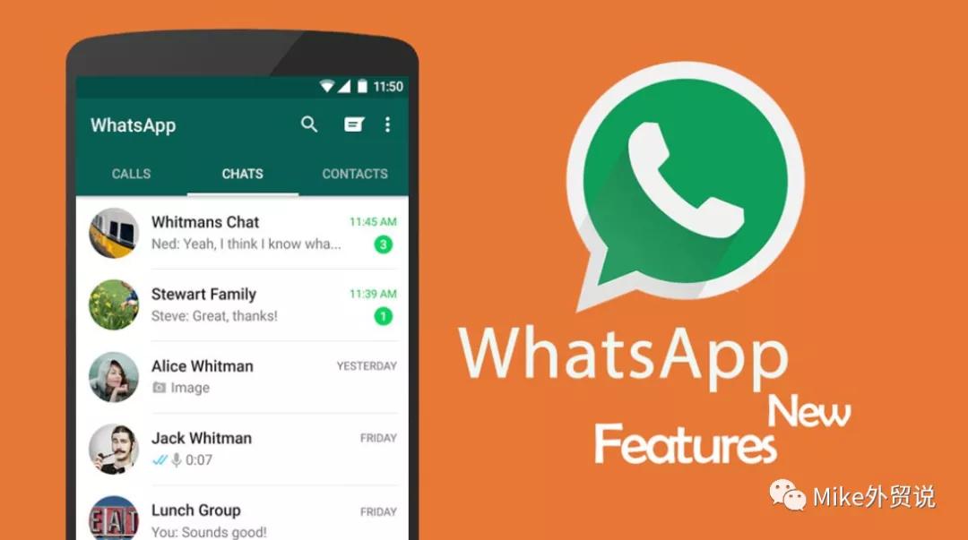 whatsapp官网下载_官网下载app豌豆荚_官网下载软件