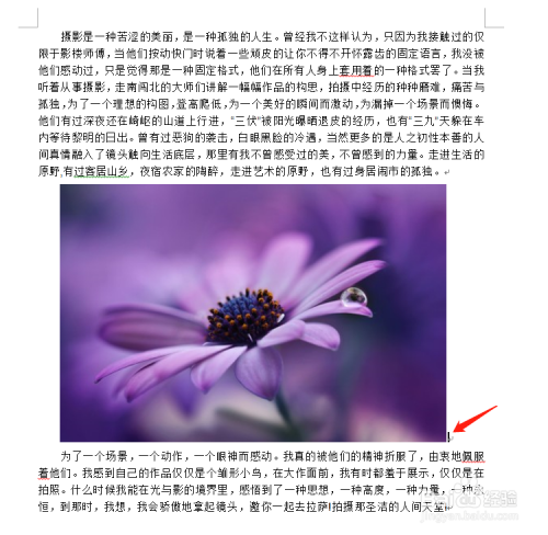 word2019折叠三角删除_word标题折叠三角删除_word怎么删除折叠三角