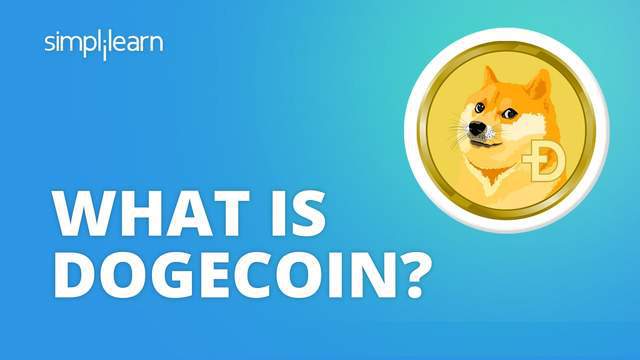 钱包可以当手拿包吗_钱包能装什么_tp钱包可以装doge吗