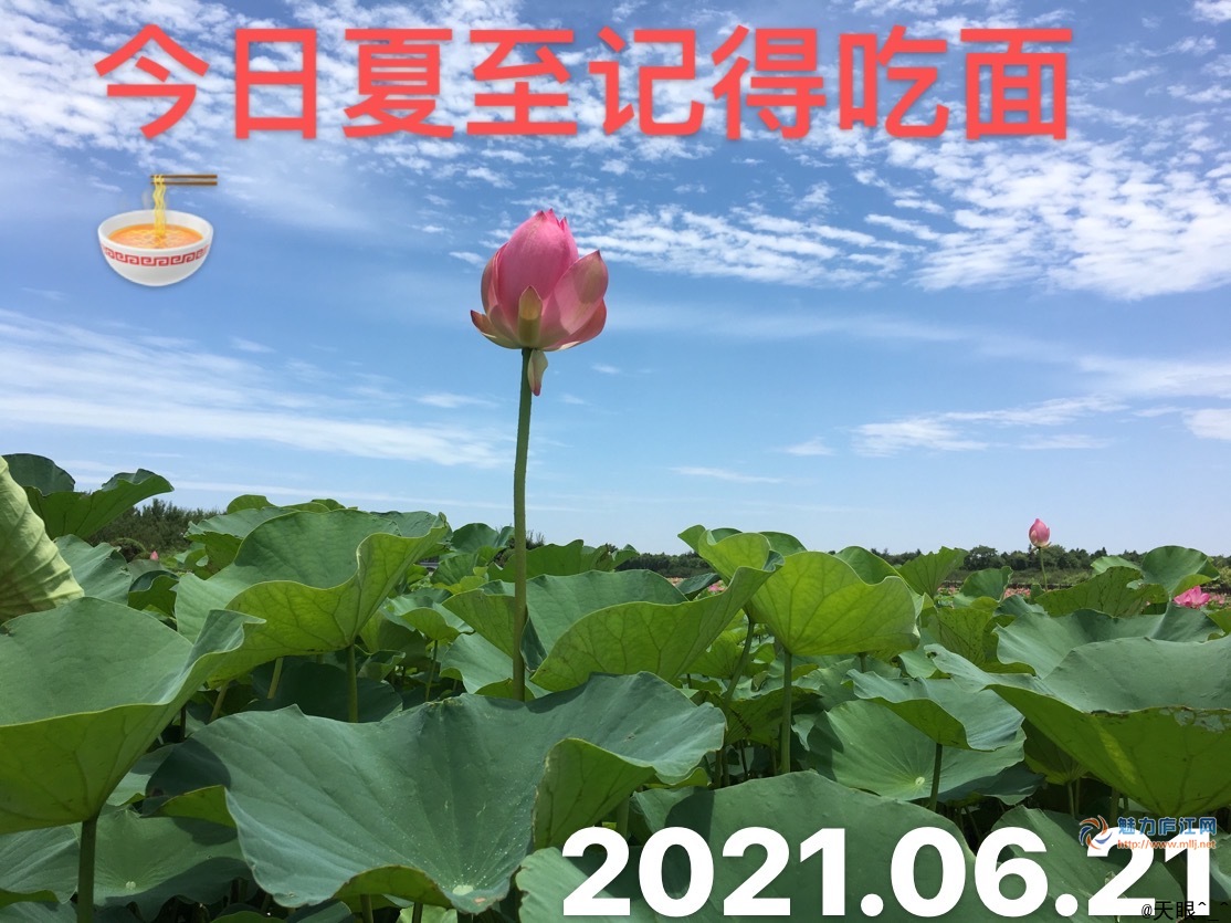 冬至饺子夏至面是南方还是北方_冬至饺子夏至面下一句是什么_冬至饺子夏至面的由来和寓意