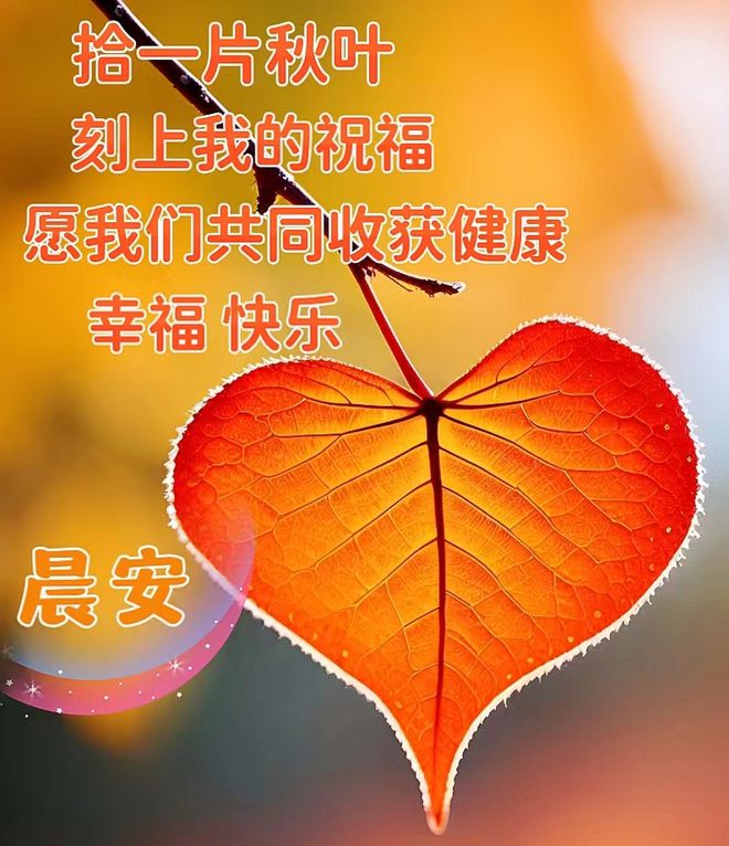 徐三_徐明浩_徐艺洋