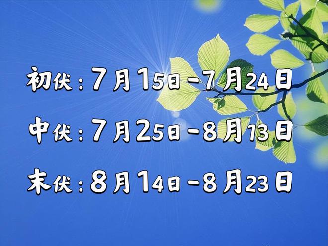 2024年日历表全年表_2024年的日历表全年的_2024年日历表电子版打印版