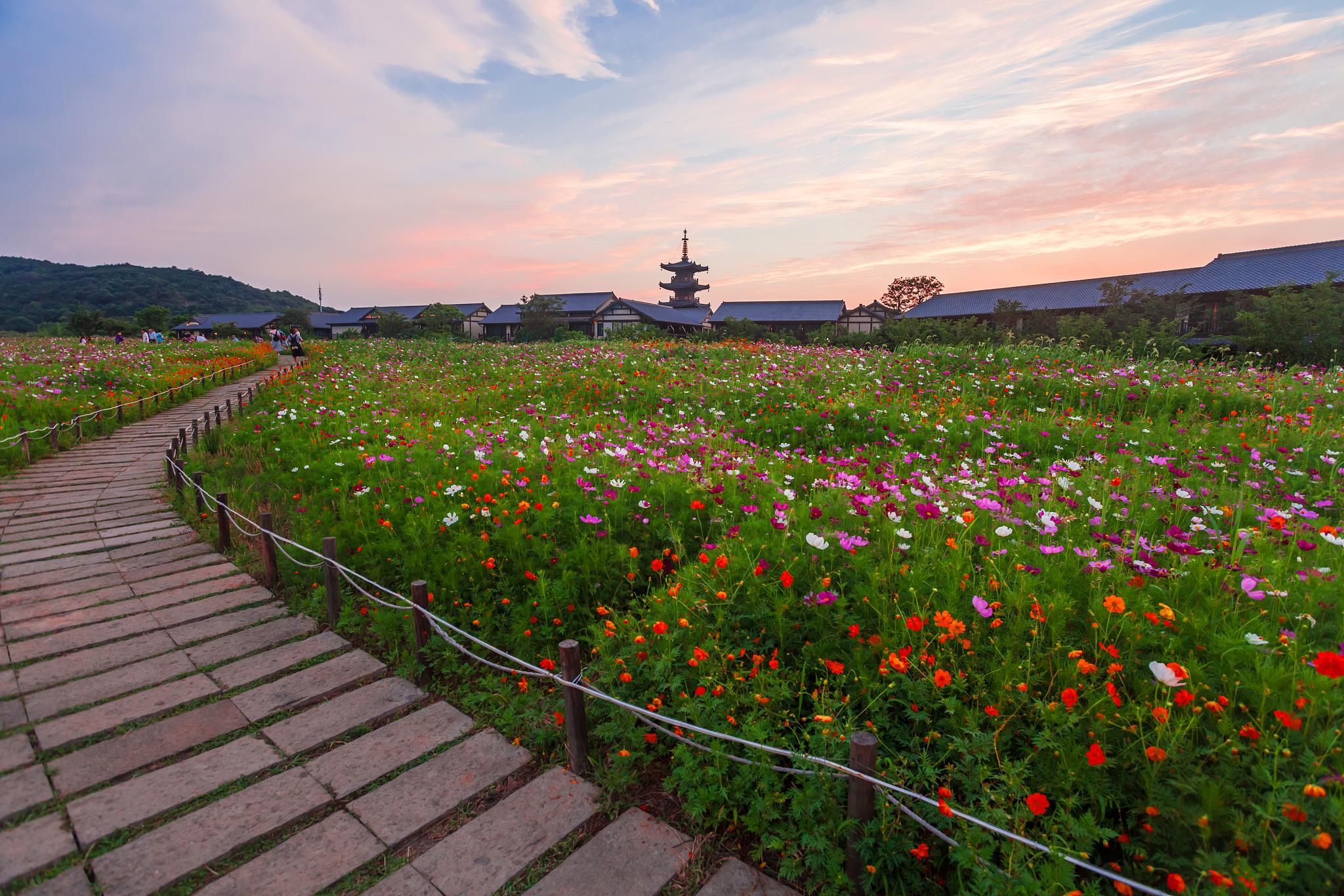 居神战击队_神居_居神器之重