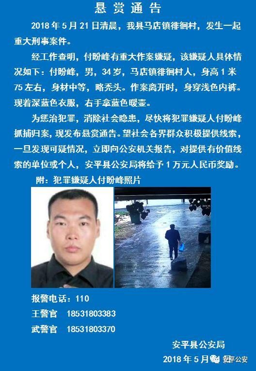 云付互联网创始平台_tp钱包创始人付盼被抓_偷了钱包警察会来家抓人吗