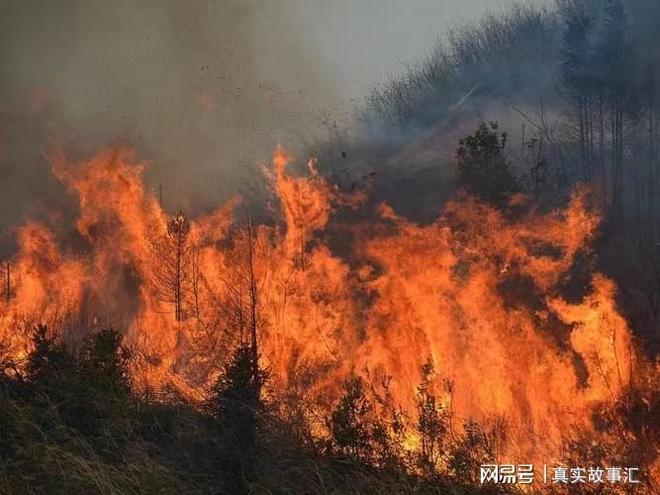 双生灵探：灵魂舞者的奇妙冒险，揭开超自然的神秘面纱